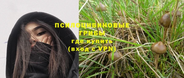 мет Алзамай