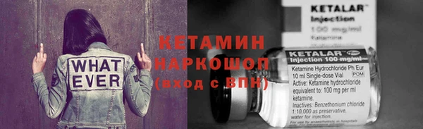 мдпв Гусь-Хрустальный
