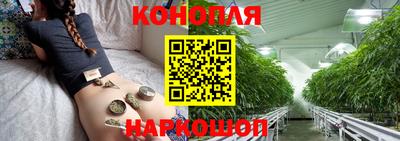 МДПВ Дубна