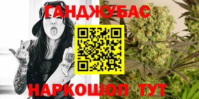 МДПВ Дубна