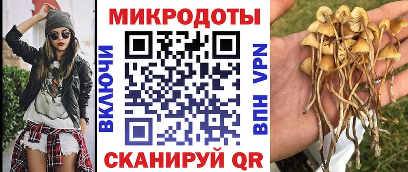 Псилоцибиновые грибы Psilocybine cubensis  OMG ссылка  Санкт-Петербург 