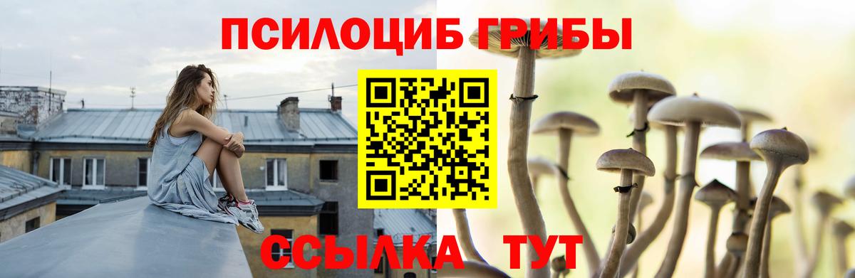 Псилоцибиновые грибы ЛСД  как найти наркотики  Санкт-Петербург  Вход с VPN 